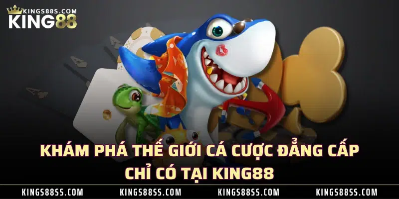 Khám phá thế giới cá cược đẳng cấp chỉ có tại KING88 